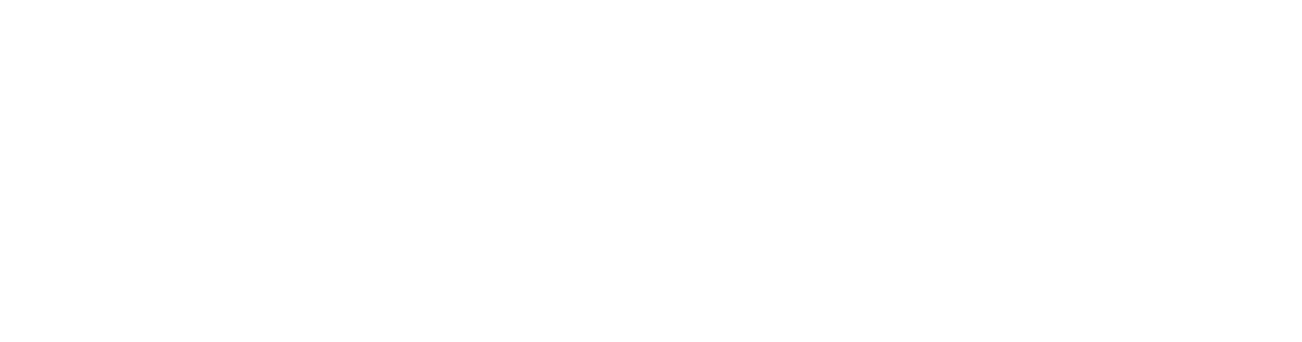SteelSpray Logo