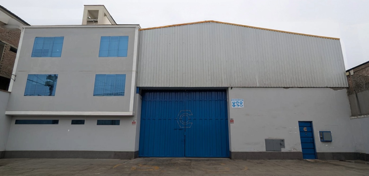 Planta Lima